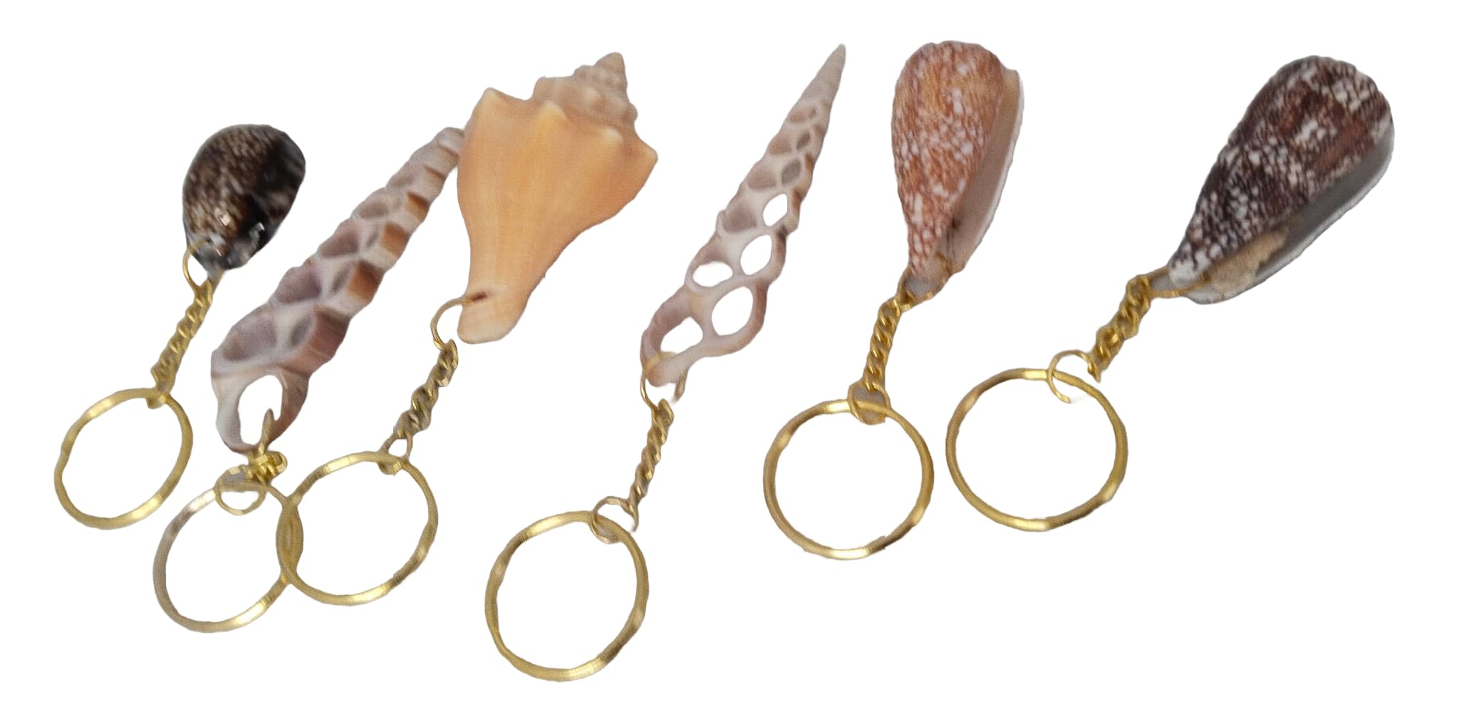 Thenkumari 6 Pieces Natural Handcrafted Seashell Keychain Key Ring Chain