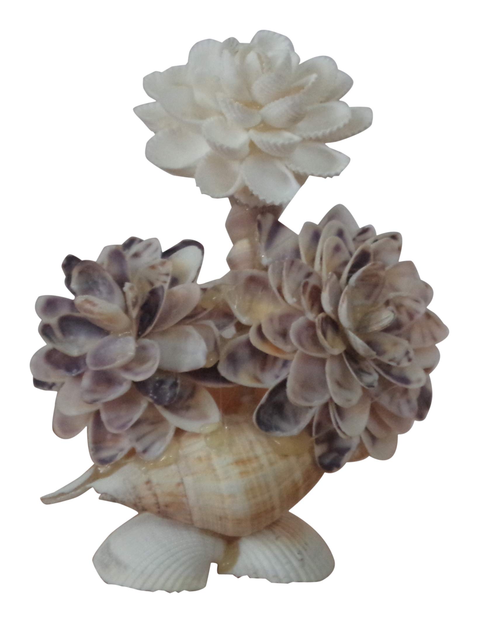 Artszone Beautiful Handcrafted Sea Shell Flower Type Decorative Showpiece